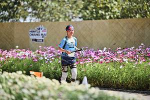 BIB: 
                            <button type="button" onclick="openModal(27794519)" class="btn btn-primary btn-sm float-right btn-popup" data-toggle="modal" data-target=".modal-high-quality">
                        <i class="fas fa-shopping-cart"></i> Add to Cart
                    </button>
                                            <button type="button" onclick="isThisMe(27794519, true)" class="btn btn-success btn-sm float-right btn-popup btn-isme hidden" data-toggle="tooltip" data-placement="bottom" title="นี่คือรูปของคุณใช่ไหม คลิกที่นี่เพื่อเอาเข้าอัลบั้ม">
                        <i class="fas fa-plus"></i> Add to album
                    </button>
                    <button type="button" onclick="isThisMe(27794519, false)" class="btn btn-warning btn-sm float-right btn-popup btn-isnotme hidden">
                        <i class="fas fa-ban"></i> Remove from album
                    </button>